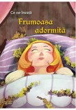 Cumpara ieftin Ce ne invata Frumoasa adormita