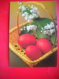 HOPCT 25221 - - FELICITARE PASCALA / PASTE - - - NECIRCULATA