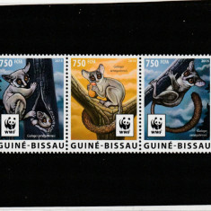 Guinea Bissau 2015-WWF,Fauna,Galago do Senegal,serie 4 val.,MNH,Mi.8278-8281