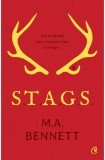 S.T.A.G.S - Curtea Veche