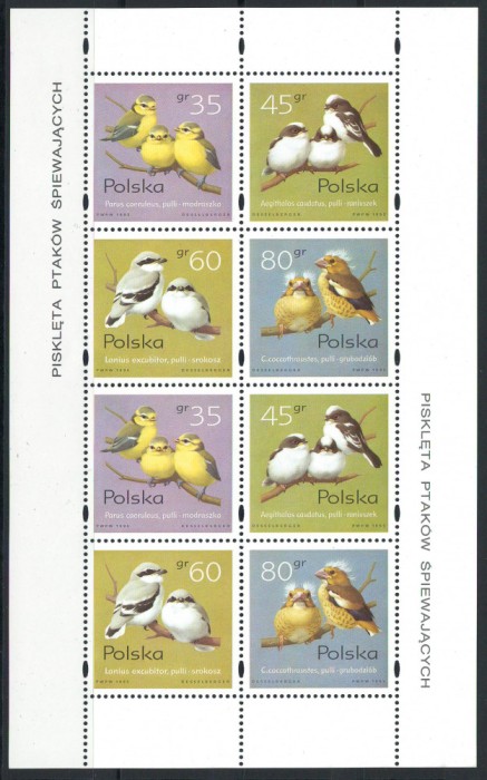 Polonia 1995 Mi 3567/70 klb MNH - Pasari cantatoare 27-3