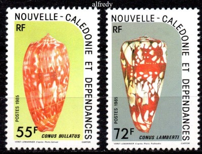 NOUA CALEDONIE 1985, Scoici, serie neuzată, MNH foto