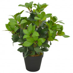 Planta artificiala dafin cu ghiveci, verde, 40 cm GartenMobel Dekor