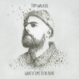 What A Time To Be Alive - Vinyl | Tom Walker, sony music