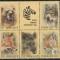 URSS, Rusia 1988 Mi 5877/81 block MNH - Gradinile zoologice sovietice (I) 27-3