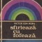 Sfirleaza cu Fofeaza, Editia a IV-a