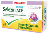 SELEZIN ACE COMPLEX *30TB, WALMARK