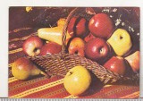Bnk cld Calendar de buzunar - 1979 - CLF