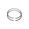 Segmenti drujba - 41 mm (1.5 mm)