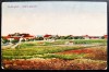 Techir-gheol - Vedere generala 1924 Techirghiol - printata, color, circulata la Oradia Mare, 2 timbre intacte, Editura Horovitz, Necirculata, Fotografie