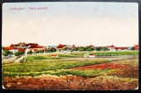 Techir-gheol - Vedere generala 1924 Techirghiol - printata, color, circulata la Oradia Mare, 2 timbre intacte, Editura Horovitz, Necirculata, Fotografie