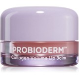 BIOHEAL BOH Probioderm Collagen Volume Lip Balm Balsam de buze hidratant cu colagen 15 ml