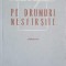 PE DRUMURI NESFARSITE-MIHU DRAGOMIR-159419