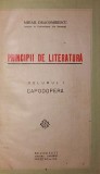 PRINCIPII DE LITERATURA