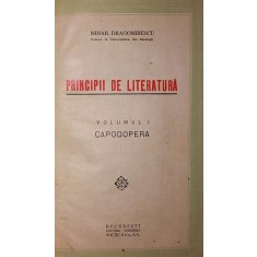 PRINCIPII DE LITERATURA