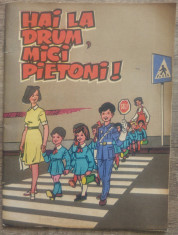 Hai la drum, mici pietoni!// bogat ilustrata foto