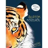 &Aacute;llatok k&ouml;zelről - Rita Mabel Schiavo