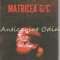 Matricea G/C - Ion Buduca
