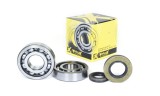 Kit rulmenti ambielaj Suzuki Rm 250 03- 04, PROX