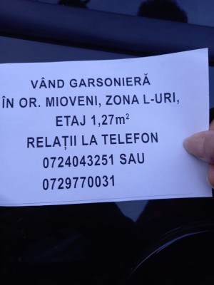 V&amp;acirc;nd garsoniera foto