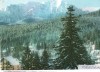 CPI B 11545 CARTE POSTALA - PREDEAL IARNA, Necirculata, Fotografie