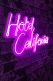 Decoratiune luminoasa LED, Hotel California, Benzi flexibile de neon, DC 12 V, Roz