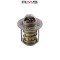 Termostat Aprilia RS - RX - Red Rose - Beta RR - Motorhispania - Peugeot XP6 - XR6 - Rieju - Yamaha TZR (Minarelli AM6) 2T LC 50cc