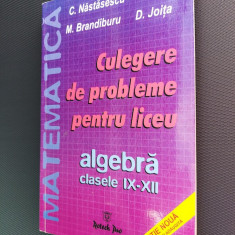 CULEGERE DE PROBLEME PENTRU LICEU ALGEBRA CLASELE IX-XII NASTASESCU JOITA NITA