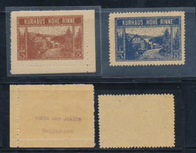 Posta locala Paltinis - Hohe Rinne - serie neuzata 2 timbre 1923 MNH hartie crem foto
