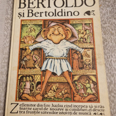 Bertoldo si Bertoldino