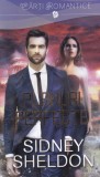 Sidney Sheldon - Planuri perfecte