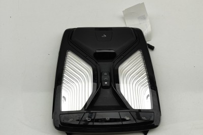 Iluminare interioară BMW X7 G07 2020 OEM: 5A25206,28725739,5A3CD89 | 31420437 foto