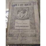 F. Cum a iubit Eminescu