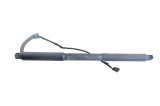 Amortizor haion st&acirc;nga BMW 3 Touring F31 2014 OEM: 7263155 | 24367501