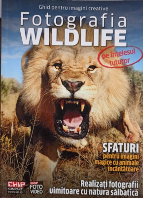 Fotografia wildlife pe intelesul tuturor (2012) foto