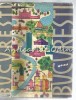 Ghid Bucuresti 1962 - Dan Berindei, Paul Cernovodeanu, Serban Cioculescu - Harta Inclusa - Istorie, Geografie, Turism