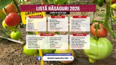 Rasaduri | Rasad rosii romanesti si hibrizi, ardei, vinete, castraveti