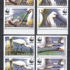 ROMANIA 2006 LP 1744 PASARI PROTEJATE LOPATARUL EURASIAN WWF PERECHE SERII MNH