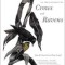 In the Company of Crows and Ravens
