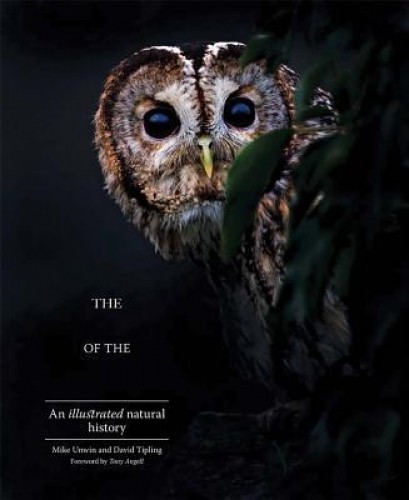 The Enigma of the Owl: An Illustrated Natural History