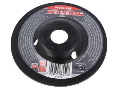 Grinding Wheel 125mm with Rasp foto