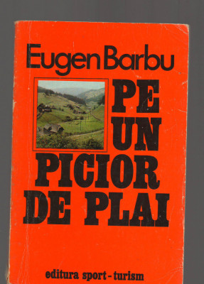 C9407 PE UN PICIOR DE PLAI - EUGEN BARBU foto