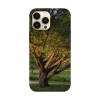 Husa compatibila cu Apple iPhone 14 Pro Max model Elm tree, Silicon, TPU, Viceversa, Transparent, Carcasa