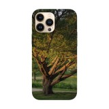 Husa compatibila cu Apple iPhone 14 Plus model Elm tree, Silicon, TPU, Viceversa