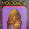 Itinerare arheologice moldovene - Constantin Buzdugan