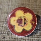 Romania insigna pionier Frumusetea Prieteniei
