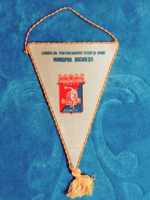 Fanion Consiliul pentru Educatie fizica si Sport Municipiul Bucuresti foto