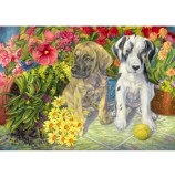 Cumpara ieftin Puzzle Bluebird - Double Trouble, 1000 piese