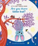 Little Peep-Through | Sam Taplin, Usborne Publishing Ltd