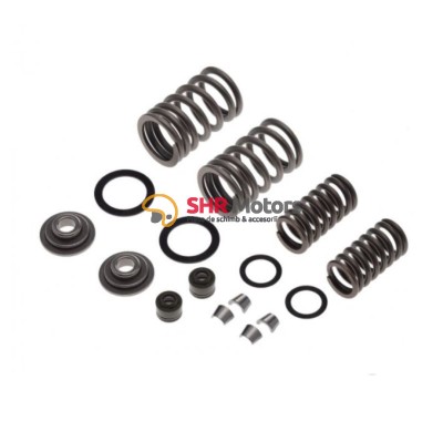 Set arcuri + simeringuri supape Piaggio Zip 50 cm3 4T foto